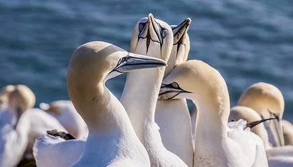 怒江最新公积金卡提取现金方法app方法分析(最方便真实的怒江公积金卡怎样从手机里取出来?方法)