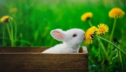 怒江最新5%葡萄糖500ml加硫酸镁方法分析(最方便真实的怒江250ml葡萄糖加20ml硫酸镁方法)